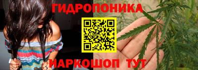 шишки Владикавказ