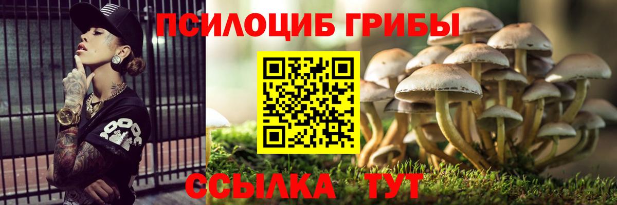 Галлюциногенные грибы мухоморы  Вход с VPN  Псилоцибиновые грибы Psilocybe  Тавда 